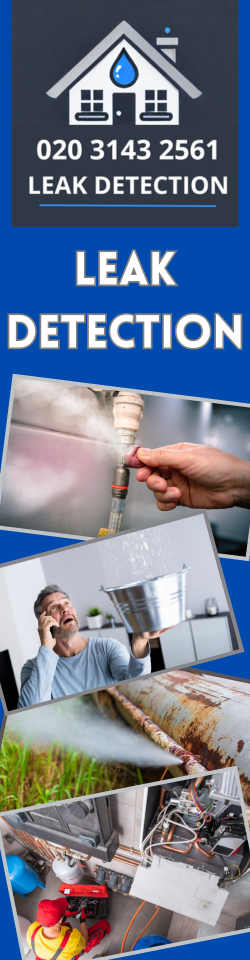 Belmont Leak Detection