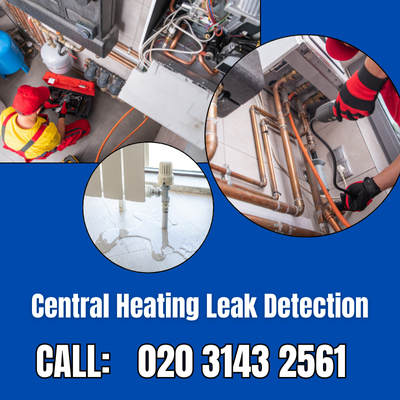 Central Heating Leak Detection Services in Belmont | Belmont Leak Detection