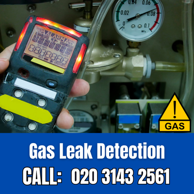 Expert Gas Leak Detection Services in Belmont | Belmont Leak Detection