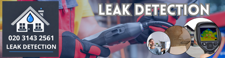 Belmont Leak Detection